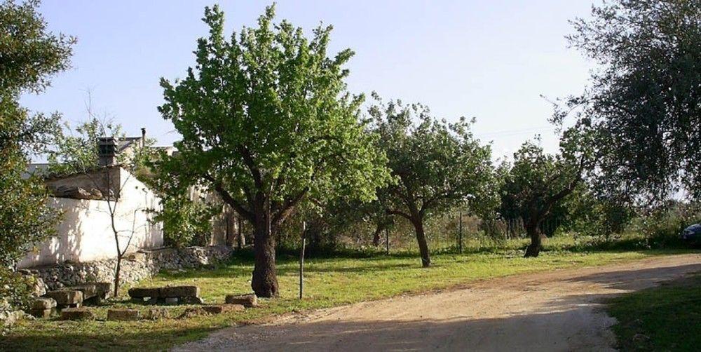 Agriturismo Terra Di Pace Noto Kültér fotó