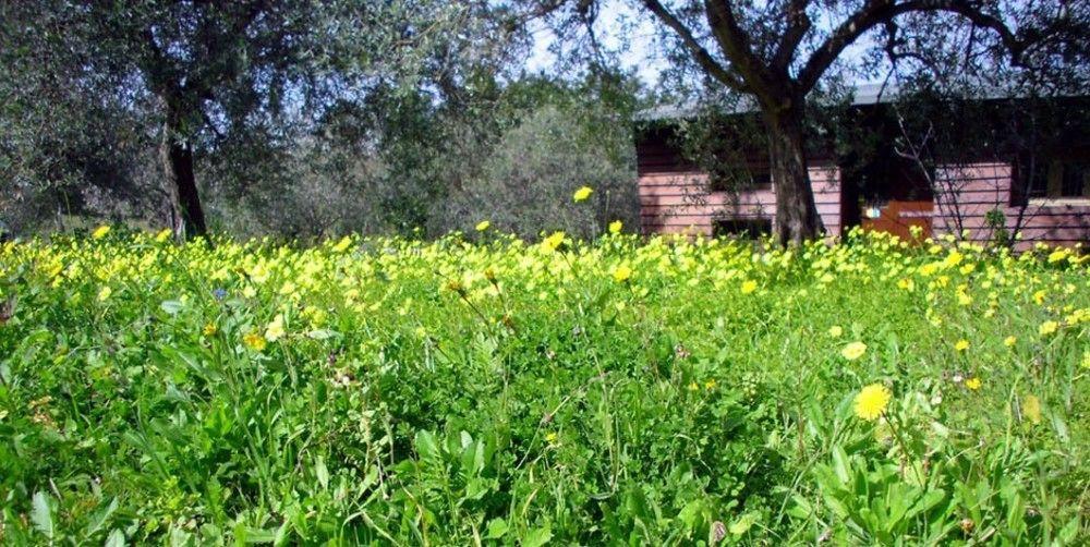 Agriturismo Terra Di Pace Noto Kültér fotó
